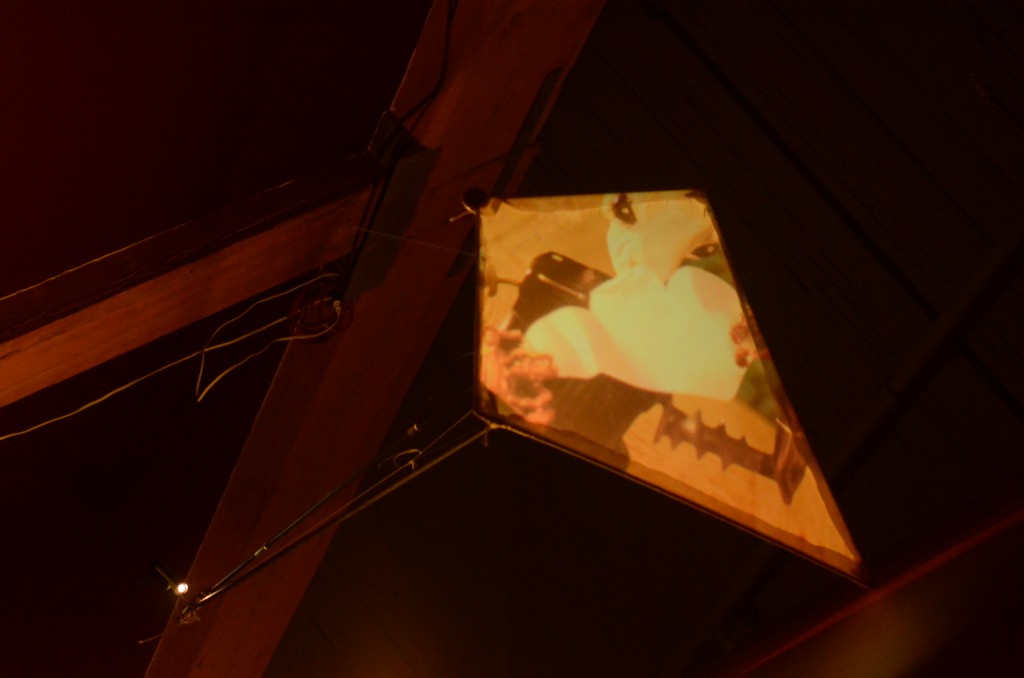 One of the kites showing a loop from Webster Crowell